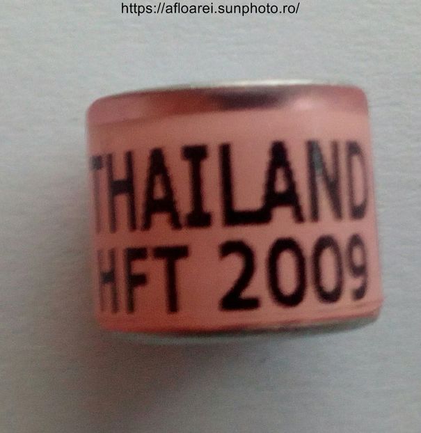 THAILAND HFT 2009 - THAILANDA