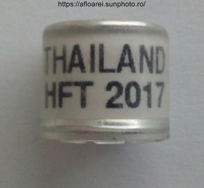 THAILAND HFT 2017 - THAILANDA
