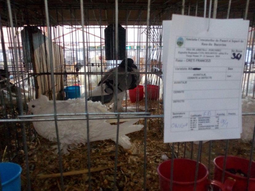  - EXPO Moldova 2018 ianuarie