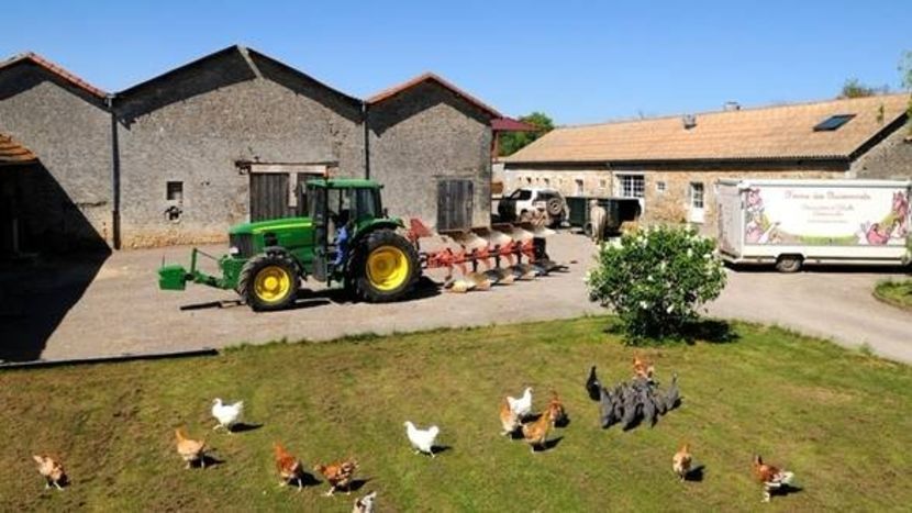 Care-sunt-pasii-pentru-infiintarea-fermelor-de-familie-cu-fonduri-europene - Piata animale vanzare animale