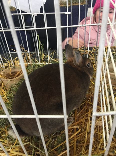 D2FB763A-5C2E-4068-939C-B901DFF761CA - Ianuarie 2018