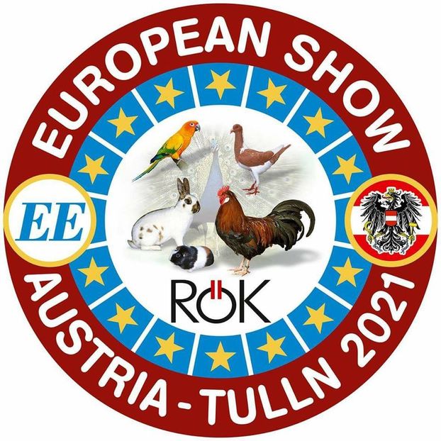  - T--TARGURI SI EXPOZITII