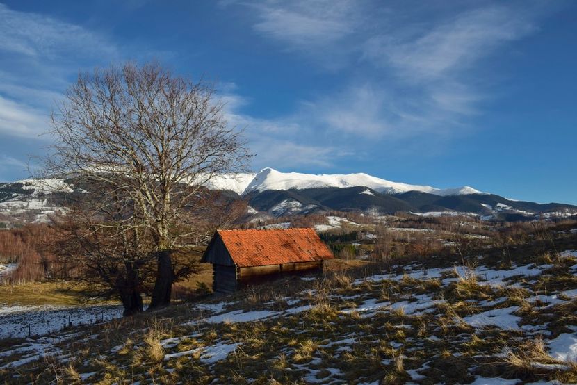  - Photo 12 - Iarna