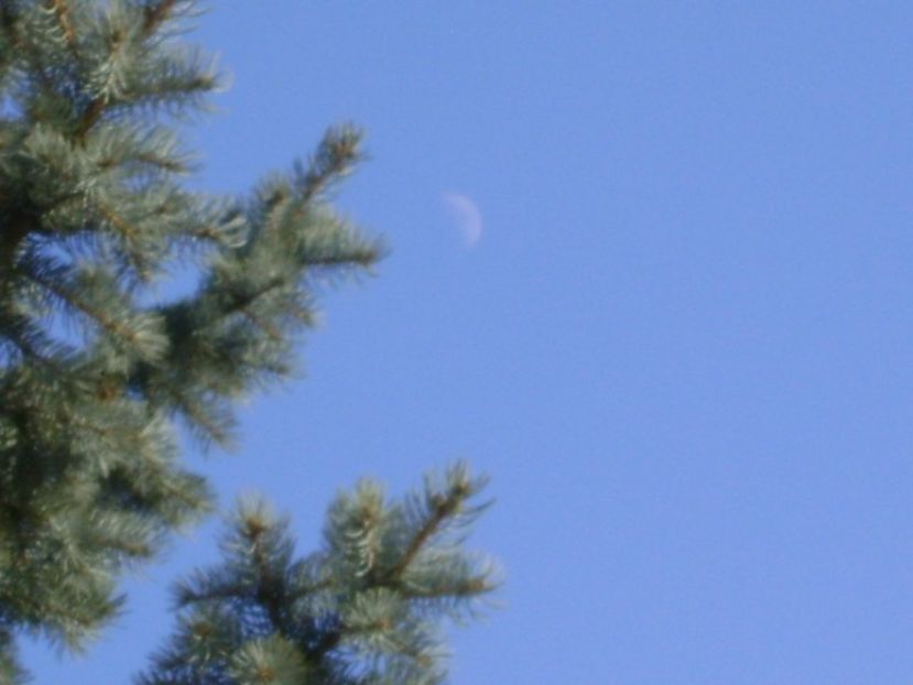 Luna in crestere in Taur - Luna - Soarele si norii - 1