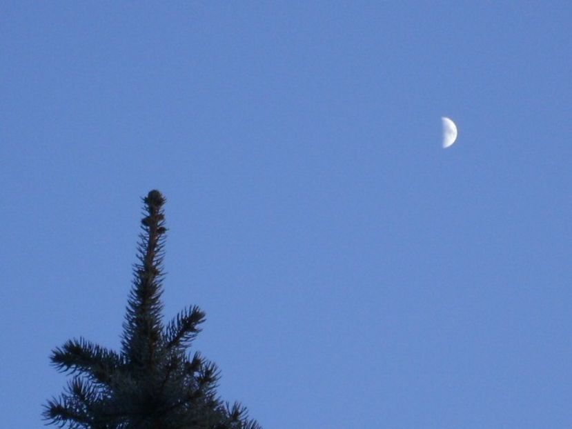 Luna in crestere in Taur - Luna - Soarele si norii - 1