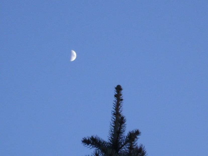 Luna in crestere in Taur - Luna - Soarele si norii - 1