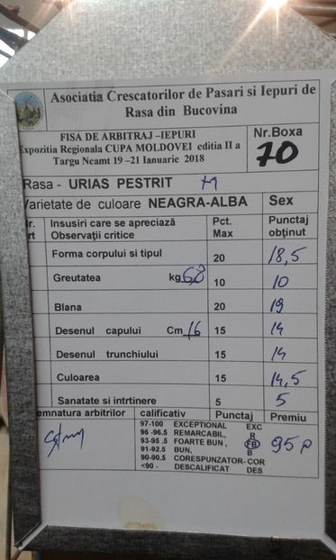  - 0 - REZ EXPO TG NEAMT IAN 2018