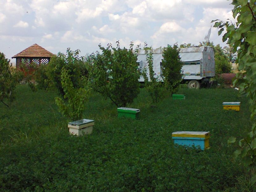 Fotografie0011 - Pavilon apicol si pastoral