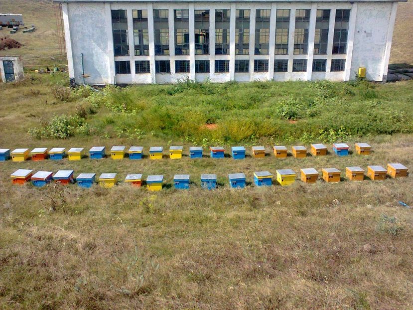 Fotografie0107 - Pavilon apicol si pastoral