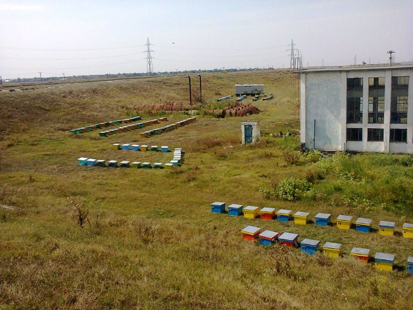 Fotografie0108 - Pavilon apicol si pastoral