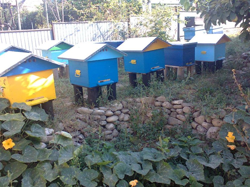 Fotografie0120 - Pavilon apicol si pastoral