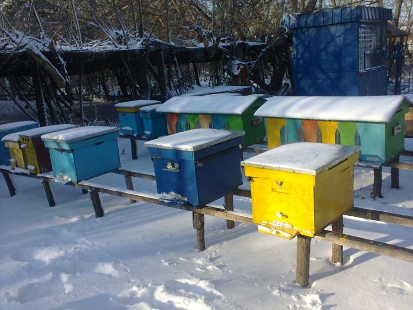 Fotografie0847 - Pavilon apicol si pastoral