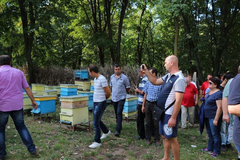  - Donatie albine World vision