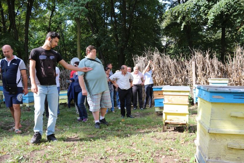  - Donatie albine World vision