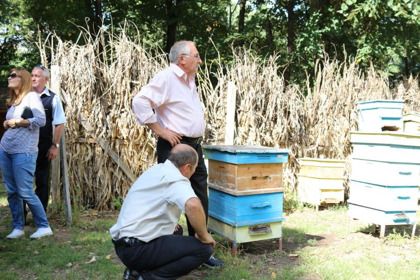  - Donatie albine World vision