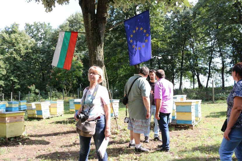  - Donatie albine World vision