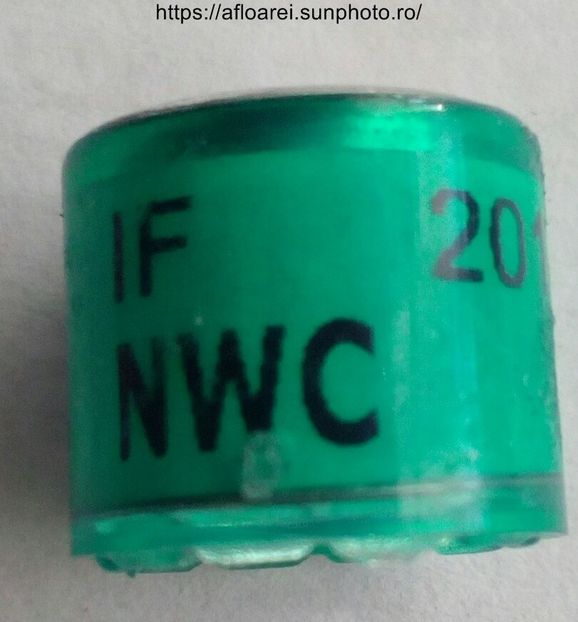 IF NWC 2014 - AMERICA