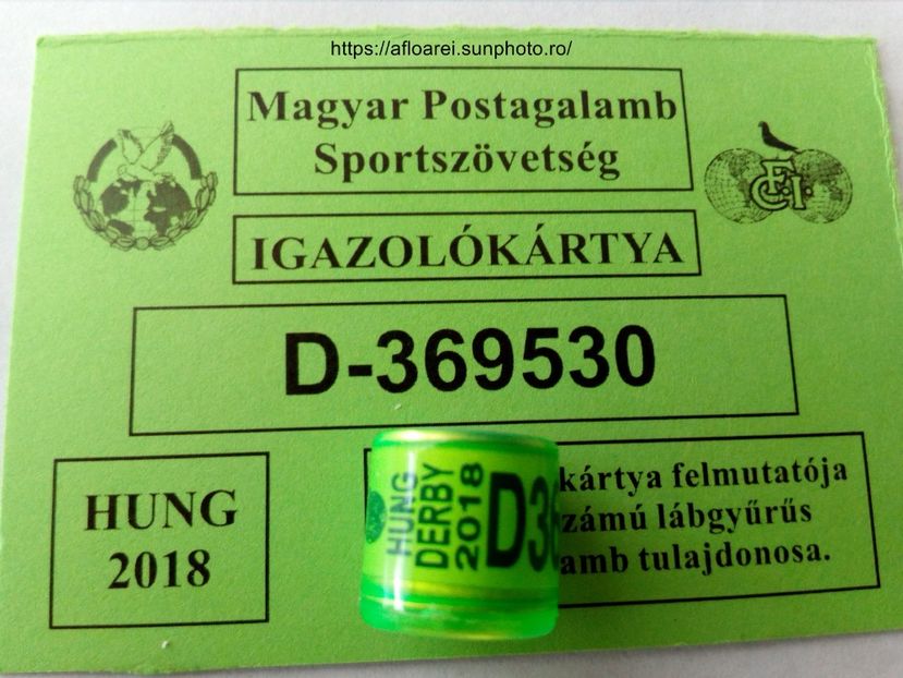 hung derby 2018 - DERBY