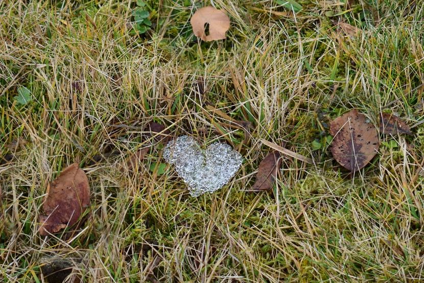 <3 Exact asa era naturala. - Photo 12 - Iarna