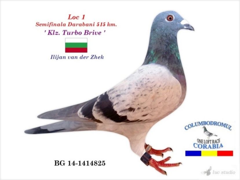 loc_1 - Achizitii - 2018 - matca