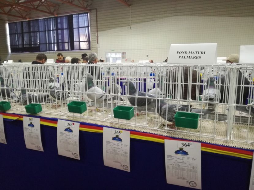  - 27-01-2018 Expozitie ASC Prahova