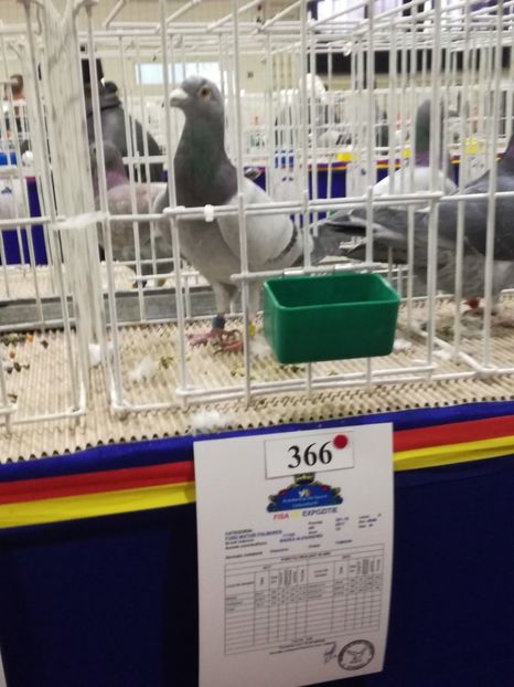  - 27-01-2018 Expozitie ASC Prahova