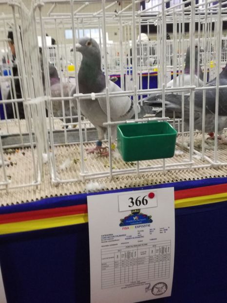  - 27-01-2018 Expozitie ASC Prahova