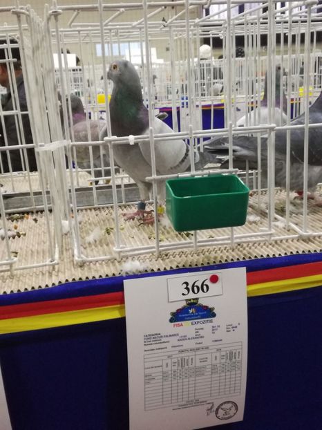  - 27-01-2018 Expozitie ASC Prahova