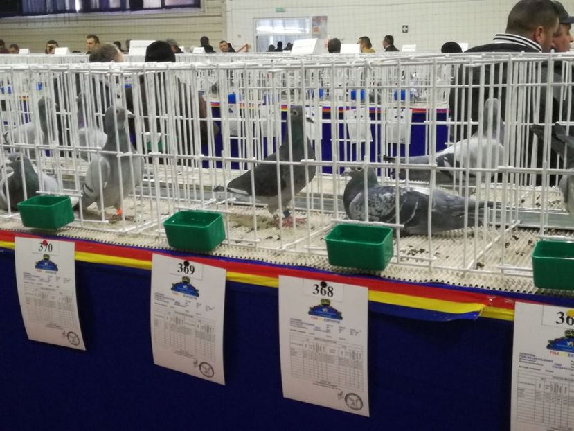  - 27-01-2018 Expozitie ASC Prahova