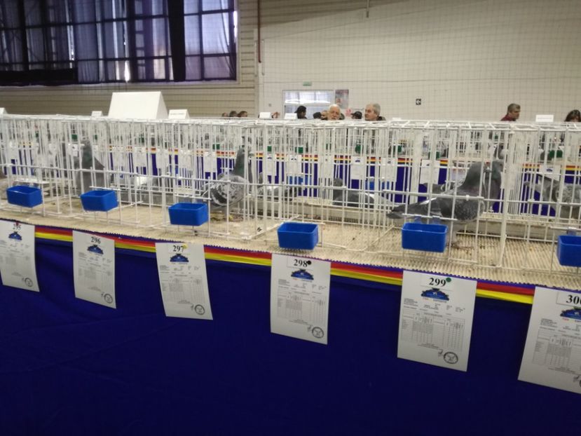  - 27-01-2018 Expozitie ASC Prahova