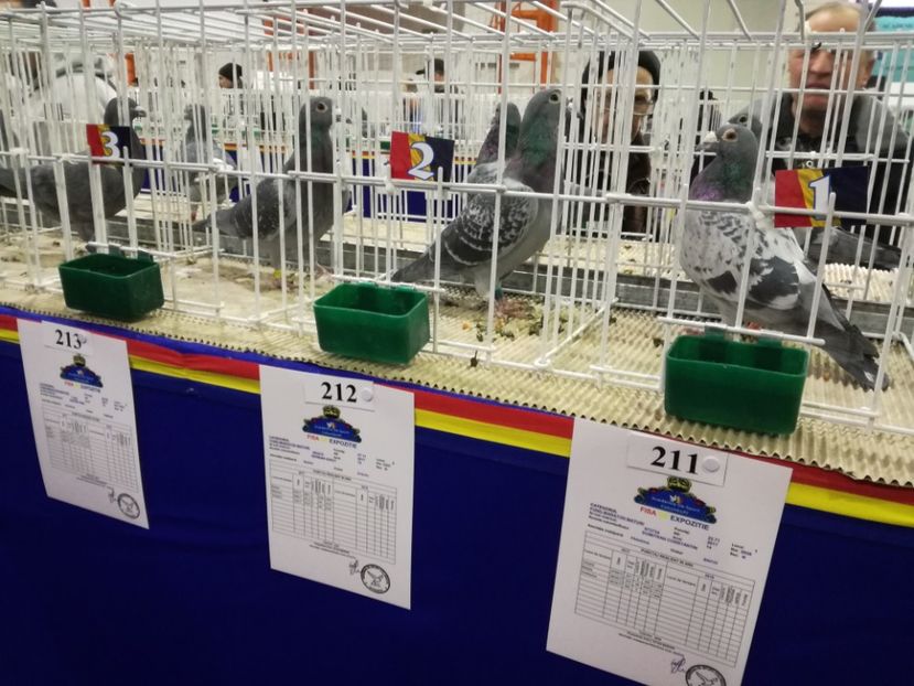  - 27-01-2018 Expozitie ASC Prahova