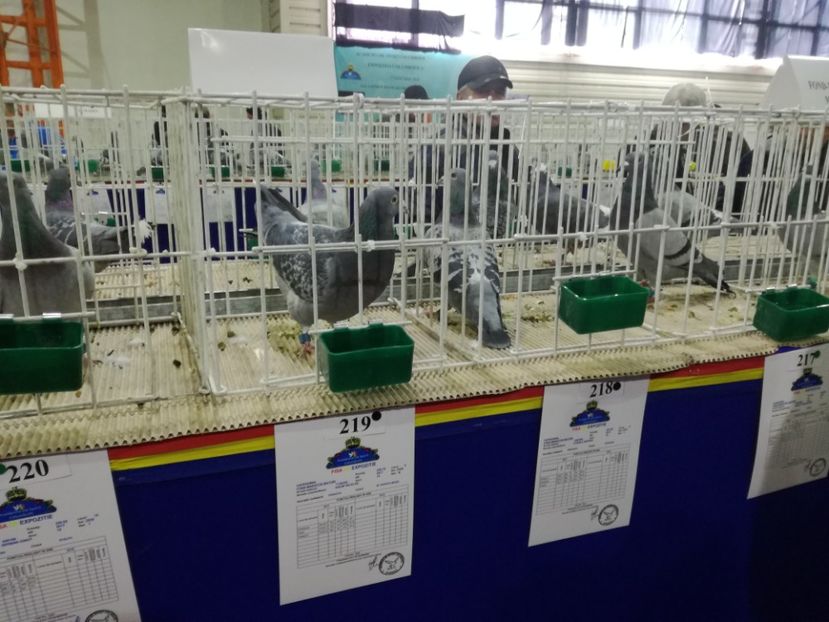  - 27-01-2018 Expozitie ASC Prahova