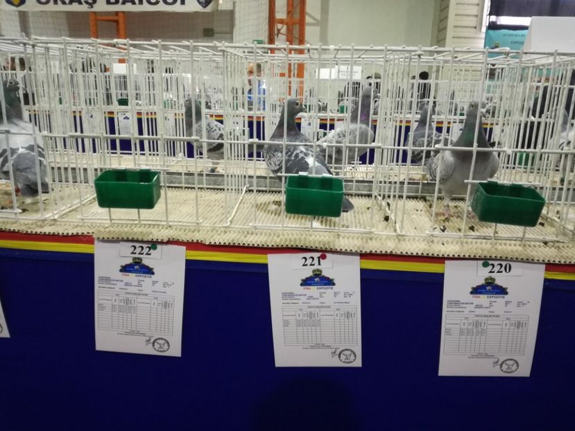  - 27-01-2018 Expozitie ASC Prahova