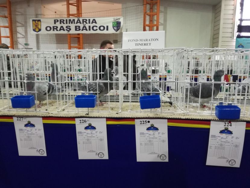  - 27-01-2018 Expozitie ASC Prahova