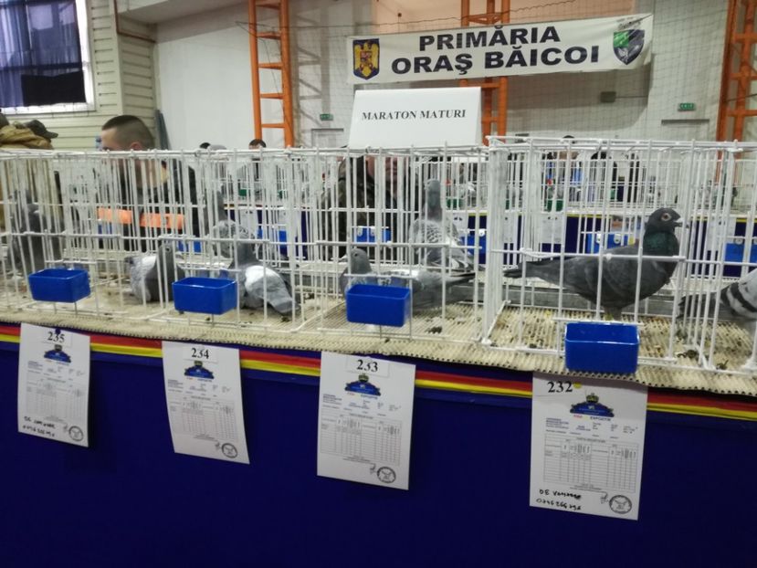  - 27-01-2018 Expozitie ASC Prahova