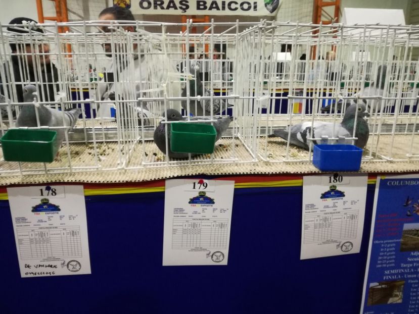  - 27-01-2018 Expozitie ASC Prahova