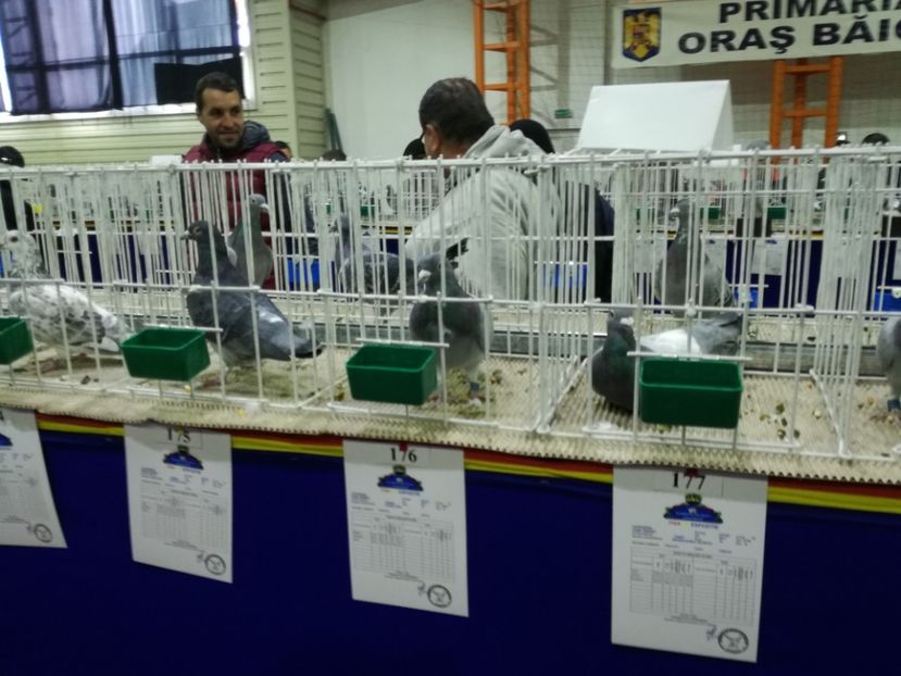  - 27-01-2018 Expozitie ASC Prahova