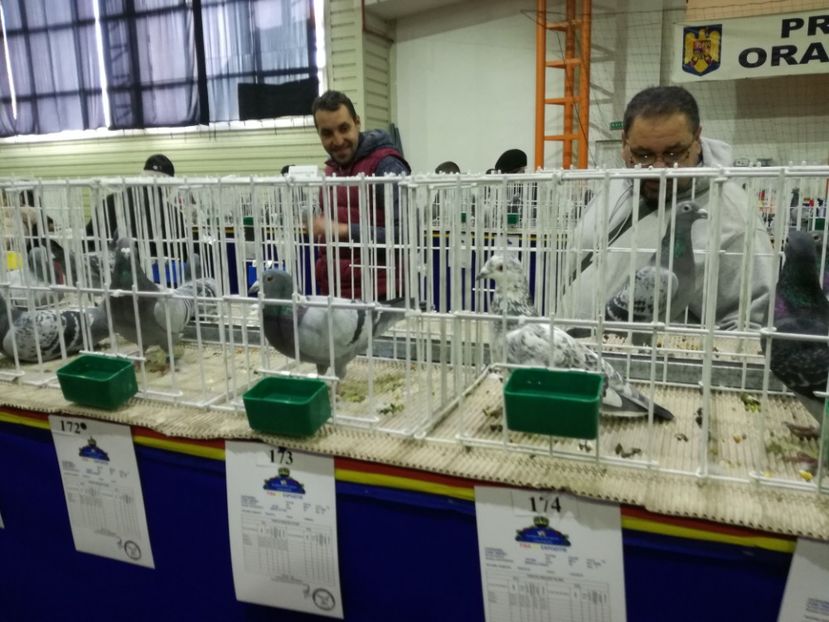  - 27-01-2018 Expozitie ASC Prahova