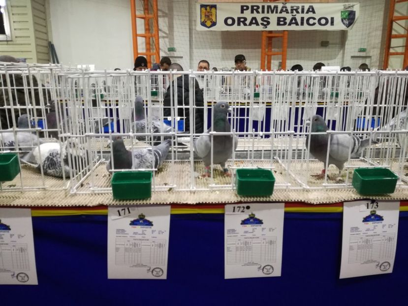  - 27-01-2018 Expozitie ASC Prahova