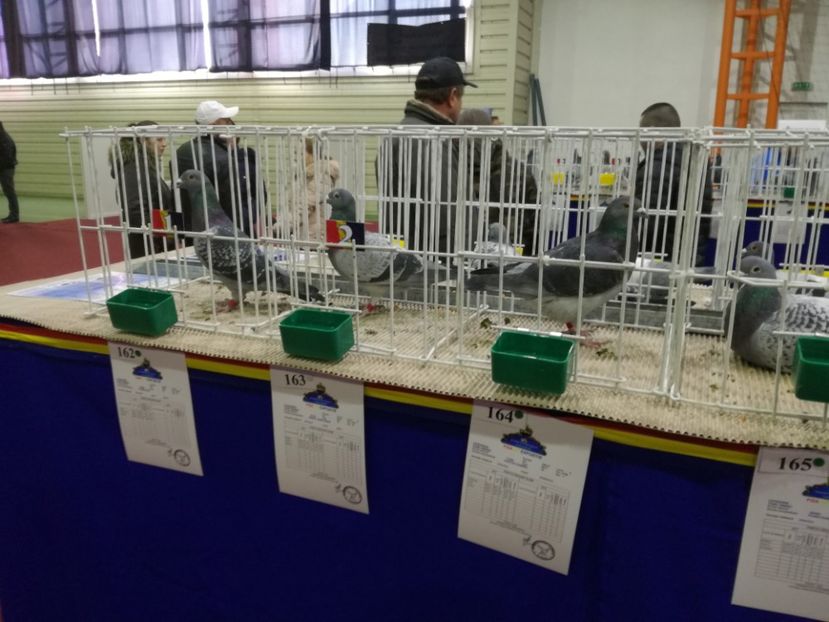  - 27-01-2018 Expozitie ASC Prahova