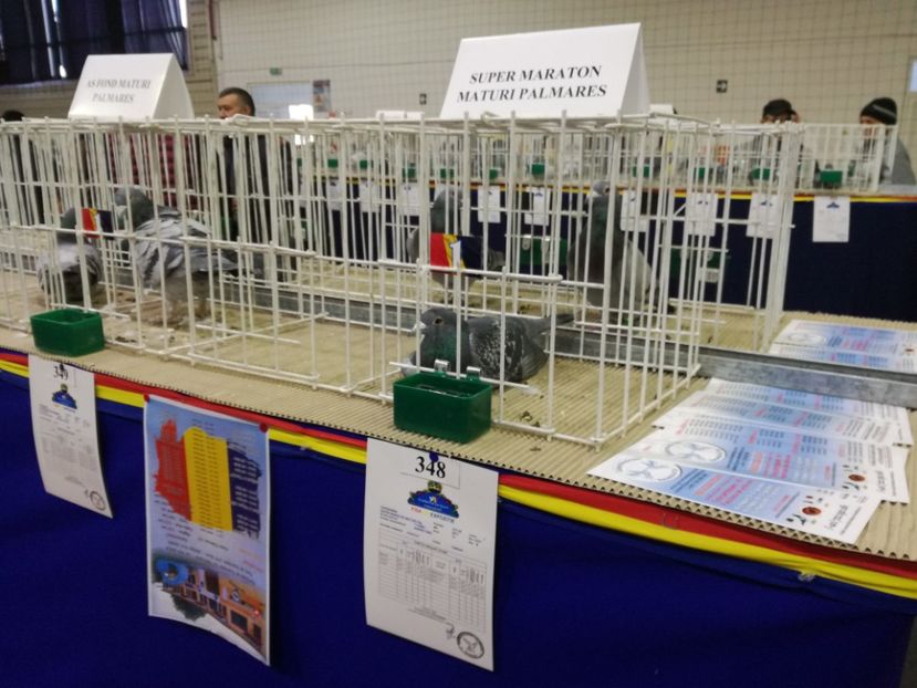  - 27-01-2018 Expozitie ASC Prahova