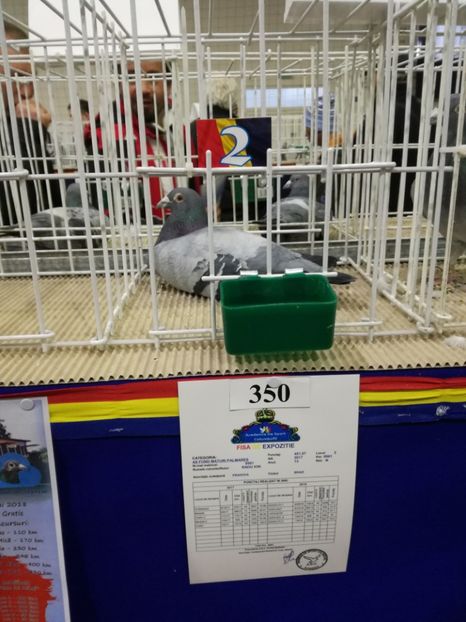  - 27-01-2018 Expozitie ASC Prahova