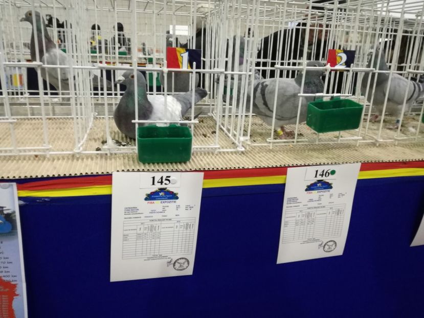  - 27-01-2018 Expozitie ASC Prahova