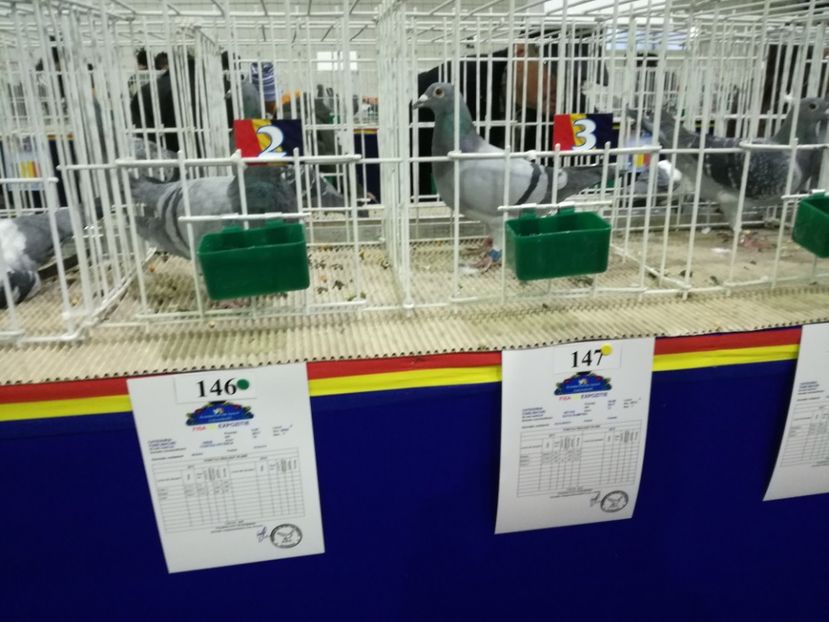  - 27-01-2018 Expozitie ASC Prahova