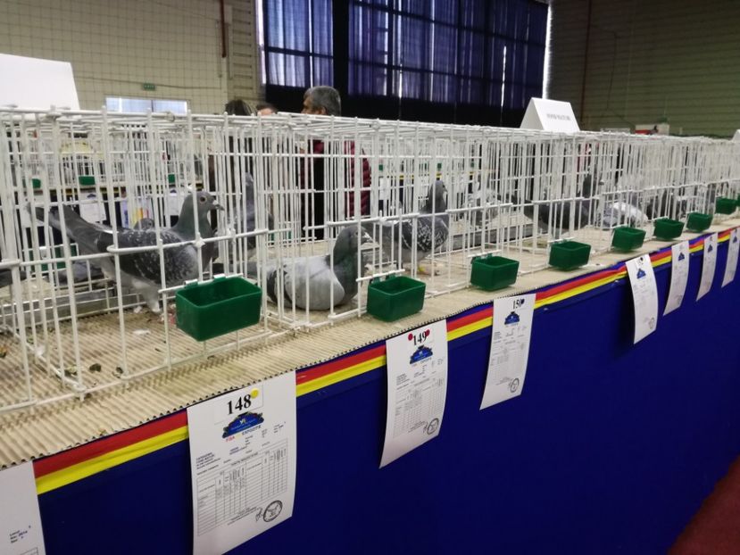  - 27-01-2018 Expozitie ASC Prahova