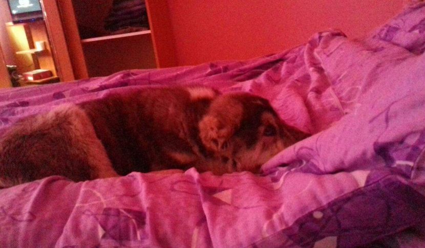 ASIA - CENTRALĂ.  27 - 01 - 2018 - ASIA - CENTRALĂ