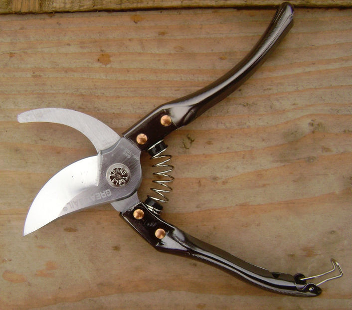 Foarfeca Great Sail 2 - Foarfeca Great Sail