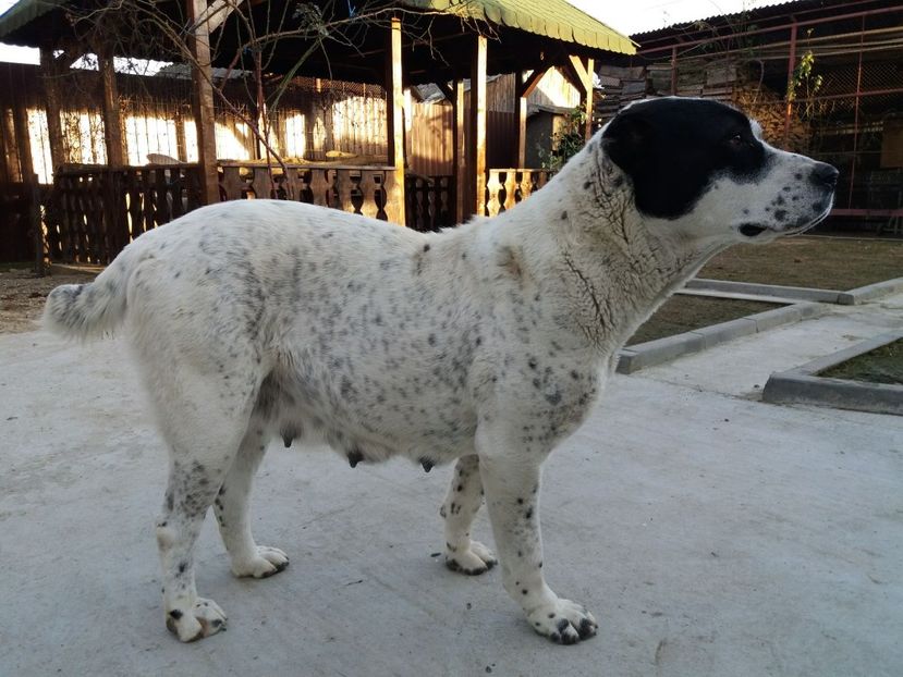 IMG-20180127-WA0000 - Maya