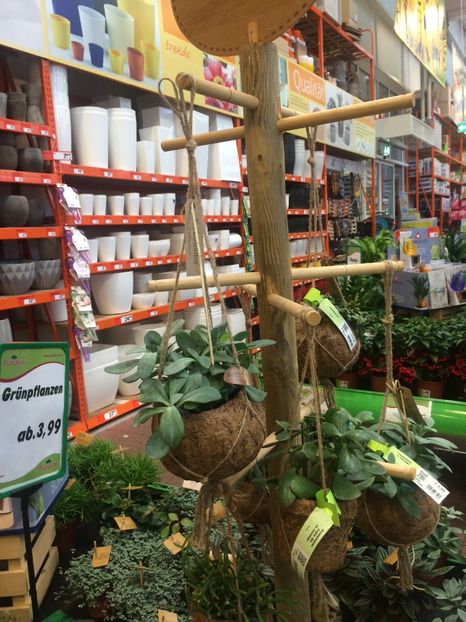 ...așa un ‘băț’.. - Modele de Raft