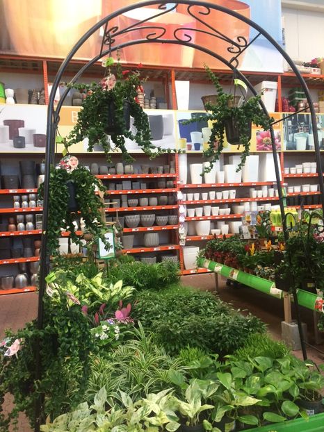 Cu bolta... - Modele de Raft